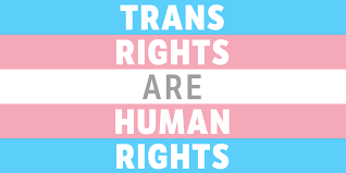 a picture of trans flag with the words Trans Rights are Human Rights